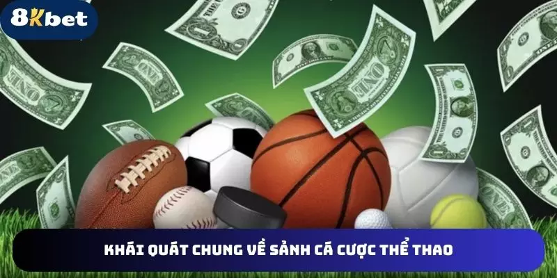 Thông tin cơ bản về sảnh thể thao online